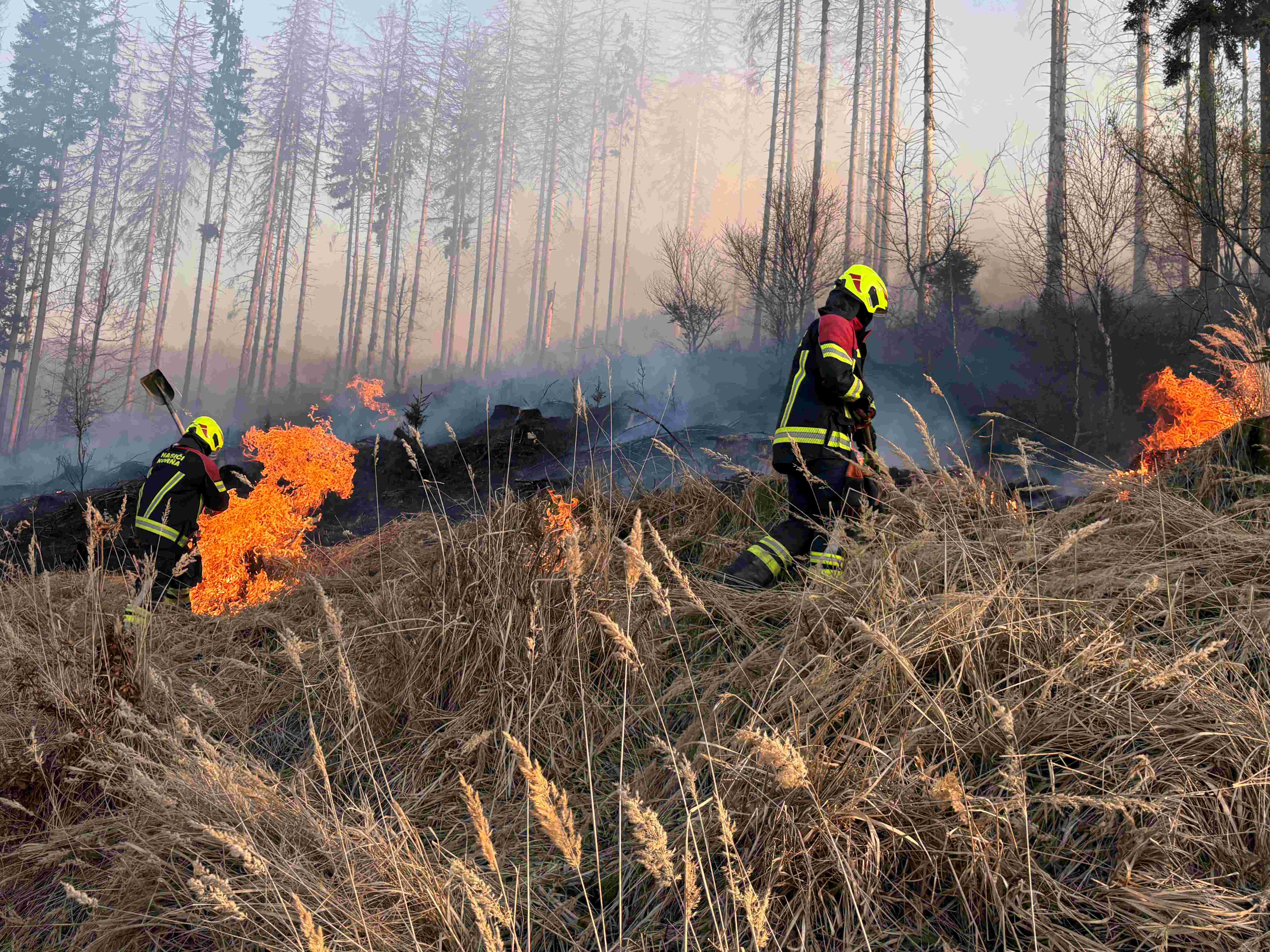 14.3.2026 Požiar lesného porastu Vysoká nad Kysucou - Veľké Rovné